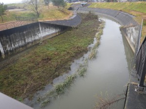 土砂堆積状況